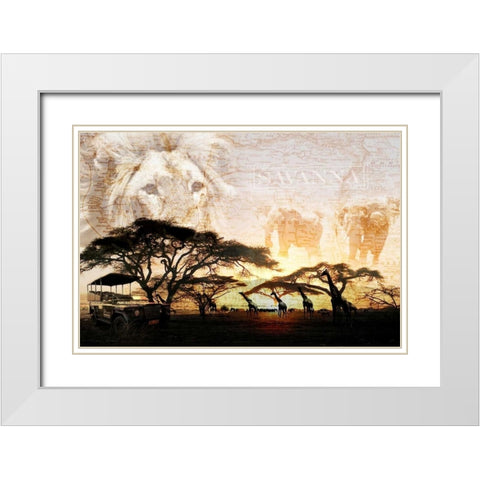 Savanna White Modern Wood Framed Art Print with Double Matting by GraphINC