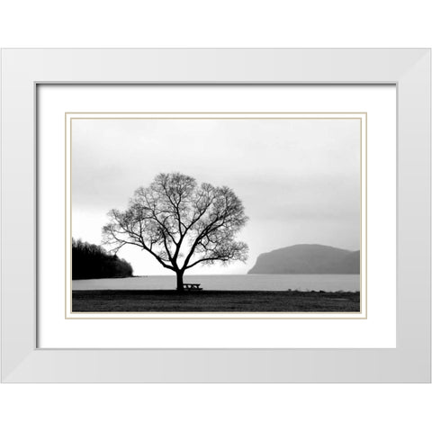 Picnic Tree White Modern Wood Framed Art Print with Double Matting by PhotoINC Studio