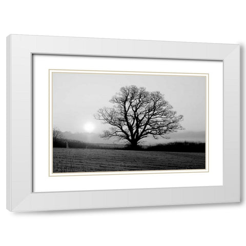 Meadow Tree White Modern Wood Framed Art Print with Double Matting by PhotoINC Studio