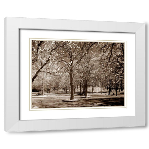 Cherry Tree Park White Modern Wood Framed Art Print with Double Matting by PhotoINC Studio