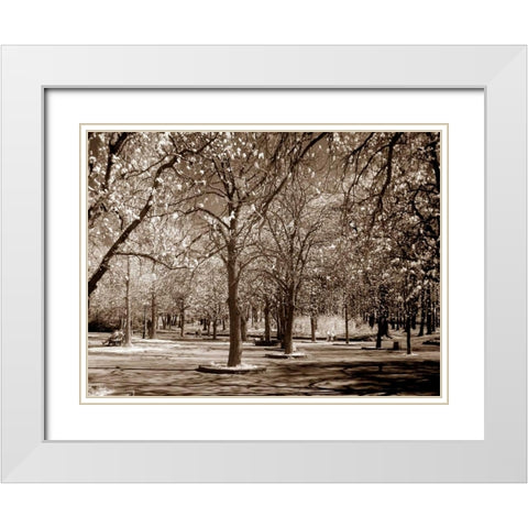 Cherry Tree Park White Modern Wood Framed Art Print with Double Matting by PhotoINC Studio