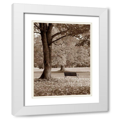 Park View White Modern Wood Framed Art Print with Double Matting by PhotoINC Studio