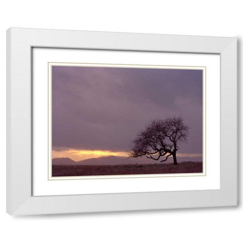 Field White Modern Wood Framed Art Print with Double Matting by PhotoINC Studio
