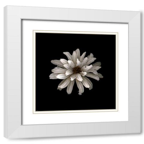 All White White Modern Wood Framed Art Print with Double Matting by PhotoINC Studio
