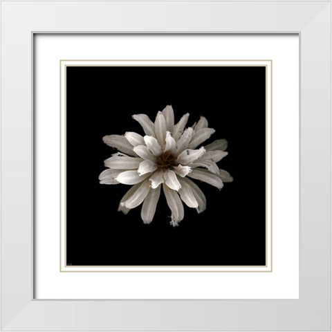 All White White Modern Wood Framed Art Print with Double Matting by PhotoINC Studio