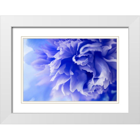Blue Flower White Modern Wood Framed Art Print with Double Matting by PhotoINC Studio