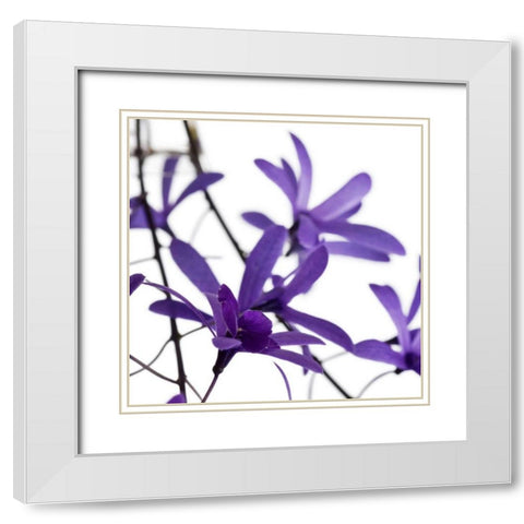Purple Blossom White Modern Wood Framed Art Print with Double Matting by PhotoINC Studio