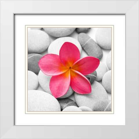 Zen Flower White Modern Wood Framed Art Print with Double Matting by PhotoINC Studio