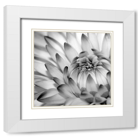Fibonacci 2 White Modern Wood Framed Art Print with Double Matting by PhotoINC Studio