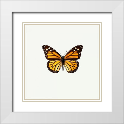 Yellow Butterfly White Modern Wood Framed Art Print with Double Matting by PhotoINC Studio