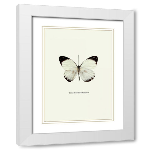 White Butterfly White Modern Wood Framed Art Print with Double Matting by GraphINC