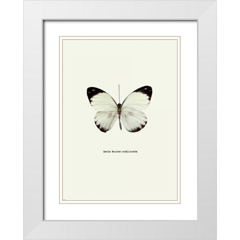 White Butterfly White Modern Wood Framed Art Print with Double Matting by GraphINC