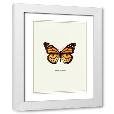 Yellow Butterfly White Modern Wood Framed Art Print with Double Matting by GraphINC