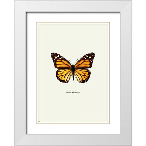 Yellow Butterfly White Modern Wood Framed Art Print with Double Matting by GraphINC