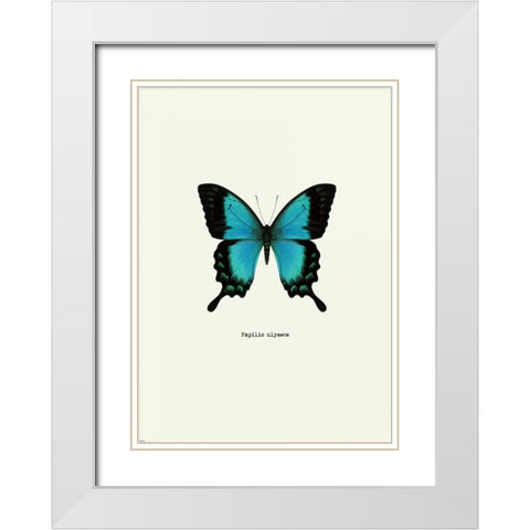 Blue Butterfly White Modern Wood Framed Art Print with Double Matting by GraphINC