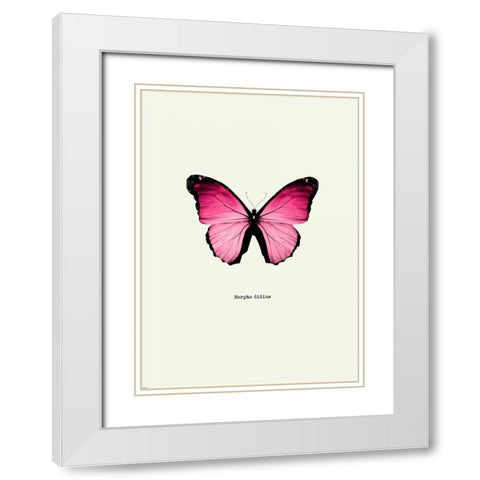 Pink Butterfly White Modern Wood Framed Art Print with Double Matting by GraphINC