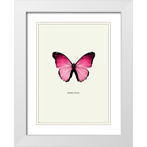 Pink Butterfly White Modern Wood Framed Art Print with Double Matting by GraphINC