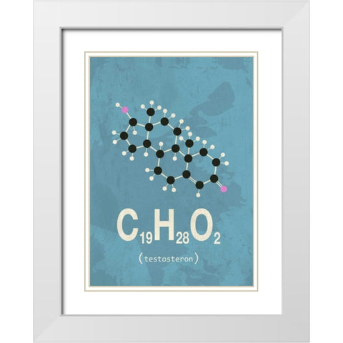 Molecule Testosterone White Modern Wood Framed Art Print with Double Matting by TypeLike