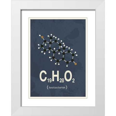 Molecule Testosterone White Modern Wood Framed Art Print with Double Matting by TypeLike