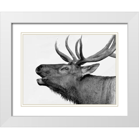 Deer White Modern Wood Framed Art Print with Double Matting by PhotoINC Studio