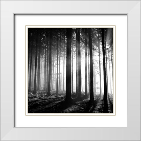 Wood Light White Modern Wood Framed Art Print with Double Matting by PhotoINC Studio