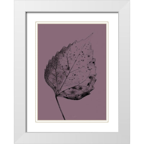 Heaven on 3rd IV White Modern Wood Framed Art Print with Double Matting by Incado