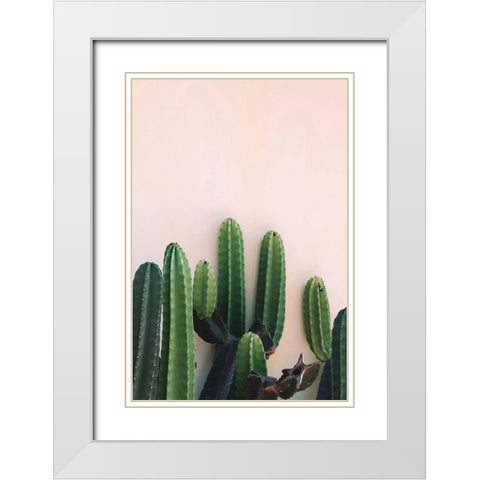 Cactus White Modern Wood Framed Art Print with Double Matting by Incado
