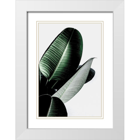 Leaves White Modern Wood Framed Art Print with Double Matting by Incado