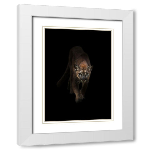 Lion White Modern Wood Framed Art Print with Double Matting by Incado