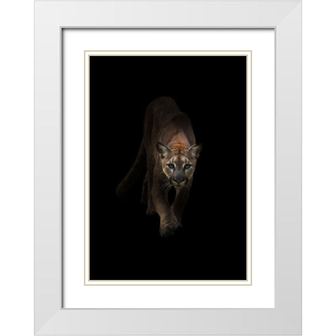 Lion White Modern Wood Framed Art Print with Double Matting by Incado