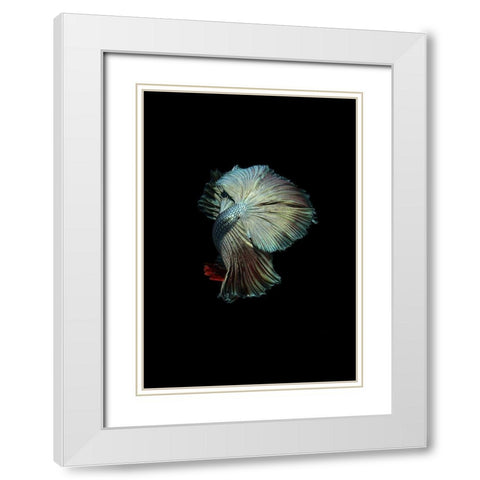 Turquoise and Red Betta White Modern Wood Framed Art Print with Double Matting by Incado
