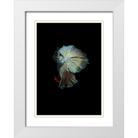 Turquoise and Red Betta White Modern Wood Framed Art Print with Double Matting by Incado