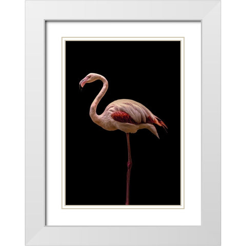 Flamingo White Modern Wood Framed Art Print with Double Matting by Incado