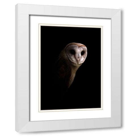 Owl White Modern Wood Framed Art Print with Double Matting by Incado