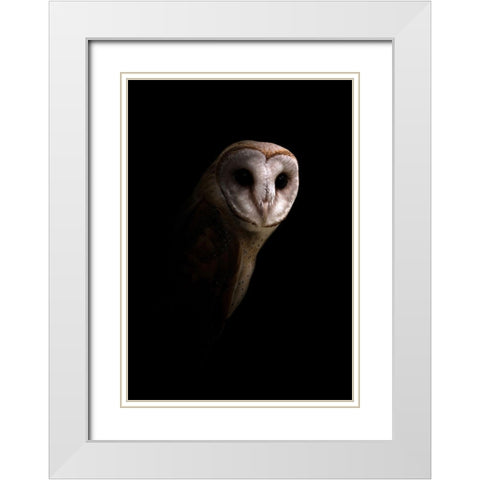 Owl White Modern Wood Framed Art Print with Double Matting by Incado