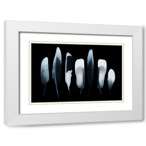 Feathers White Modern Wood Framed Art Print with Double Matting by Incado