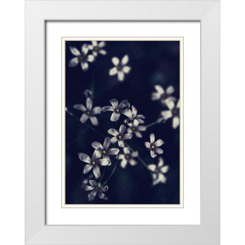 Small Flowers White Modern Wood Framed Art Print with Double Matting by Incado