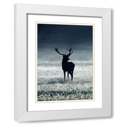 Silhouette Deer White Modern Wood Framed Art Print with Double Matting by Incado