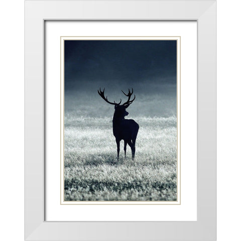 Silhouette Deer White Modern Wood Framed Art Print with Double Matting by Incado