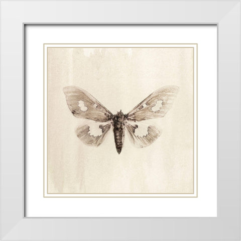 Sepia Moth White Modern Wood Framed Art Print with Double Matting by Incado