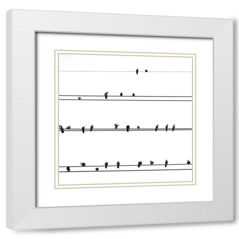 Birds on the Line White Modern Wood Framed Art Print with Double Matting by Incado