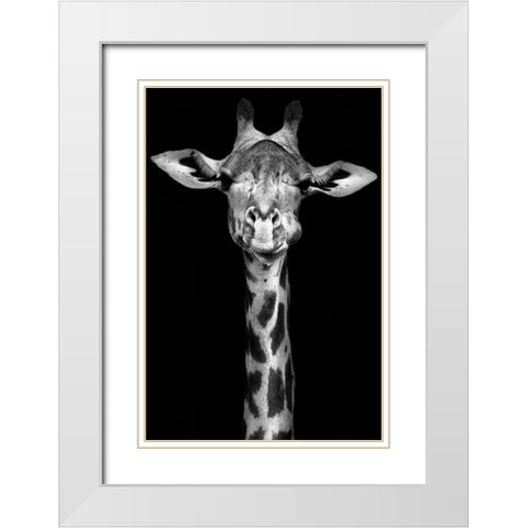 Giraffe White Modern Wood Framed Art Print with Double Matting by Incado