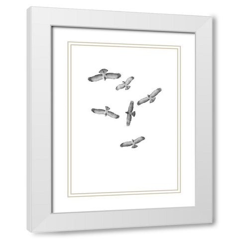 Birds of Prey White Modern Wood Framed Art Print with Double Matting by Incado