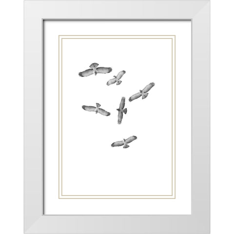 Birds of Prey White Modern Wood Framed Art Print with Double Matting by Incado