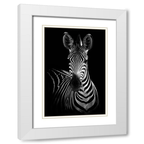 Zebra White Modern Wood Framed Art Print with Double Matting by Incado