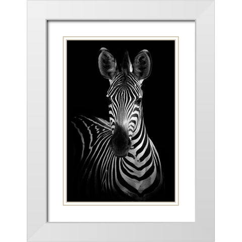 Zebra White Modern Wood Framed Art Print with Double Matting by Incado