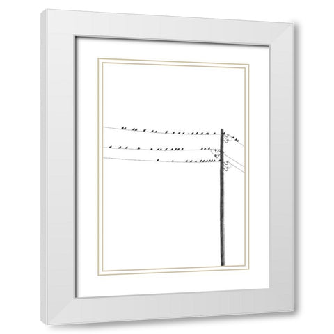 Birds on Wires White Modern Wood Framed Art Print with Double Matting by Incado