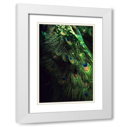 Peacock Tail White Modern Wood Framed Art Print with Double Matting by Incado