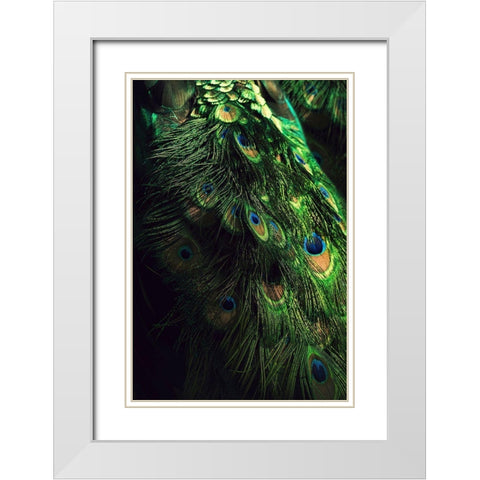 Peacock Tail White Modern Wood Framed Art Print with Double Matting by Incado