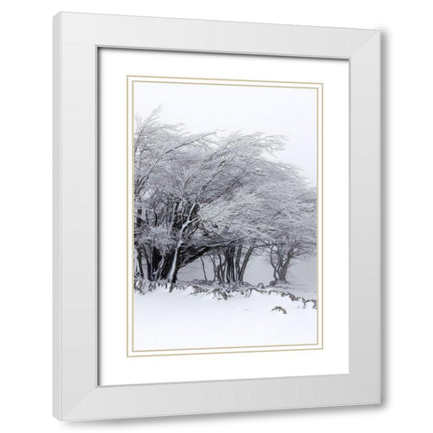 Winter Storm White Modern Wood Framed Art Print with Double Matting by Incado
